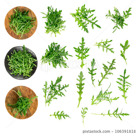 Arugula, Arugula, Ruccola Leaves, Rucola, Eruca or Roquette Salad Arugula, Arugula, Ruccola Leaves, Rucola, Eruca or Roquette Salad 106391818
