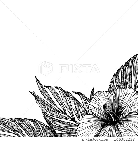Vector illustration of tropical flowers and leaves. Clipart of hibiscus, palm leaf, ink template with no background. Isolated elements for the design of cards, packaging, tattoos, logos. 106392238