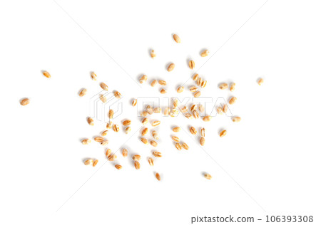 Wheat Grains, Barley Pile, Dry Cereal Seeds, Wheat Grains Heap on White Wheat Grains, Barley Pile, Dry Cereal Seeds, Wheat Grains Heap on White 106393308