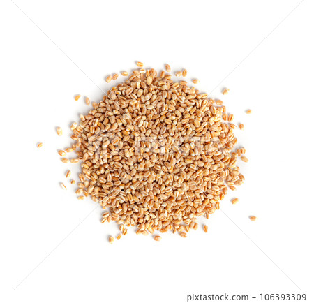 Wheat Grains, Barley Pile, Dry Cereal Seeds, Wheat Grains Heap on White 106393309