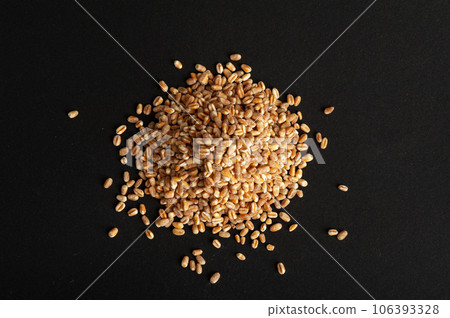 Wheat Grains, Barley Pile, Dry Cereal Seeds, Wheat Grains Heap on Black 106393328
