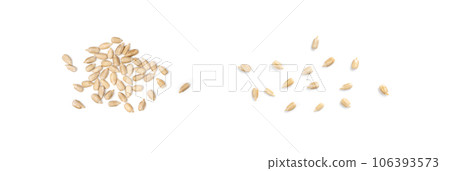 Peeled Sunflower Seeds Isolated, Raw Sunflower Kernels Group, Sun Flower Grains, Peeled Sunflower Seeds Peeled Sunflower Seeds Isolated, Raw Sunflower Kernels Group, Sun Flower Grains, Peeled Sunflower Seeds 106393573