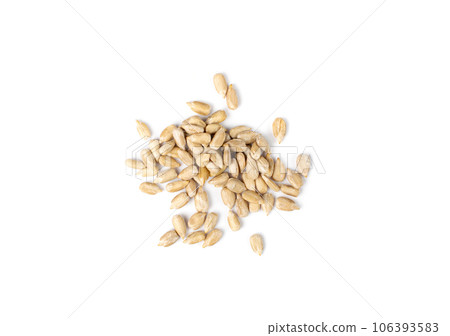 Peeled Sunflower Seeds Isolated, Raw Sunflower Kernels Group, Sun Flower Grains, Peeled Sunflower Seeds Peeled Sunflower Seeds Isolated, Raw Sunflower Kernels Group, Sun Flower Grains, Peeled Sunflower Seeds 106393583