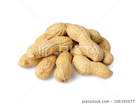 Peanuts Isolated, Roasted Arachis Nuts, Open Pea Nut, Whole Groundnut with Shell, Peanut on White Peanuts Isolated, Roasted Arachis Nuts, Open Pea Nut, Whole Groundnut with Shell, Peanut on White 106393677