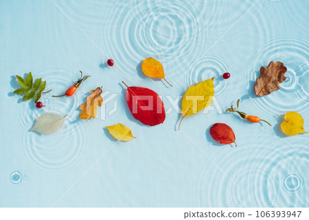 Autumn background, colored fallen leaves on background of water with waves 106393947