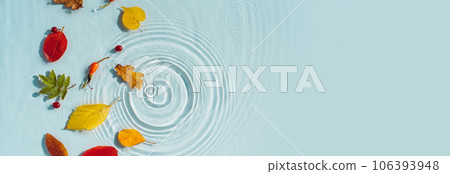 Autumn background with colorful autumn leaves on the water with rain drops 106393948
