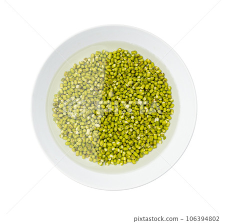 Soaked Mung Beans, Wet Vigna Radiata Seeds Pile, Macro Photo of Green Gram in Water 106394802