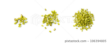 Soaked Mung Beans, Wet Vigna Radiata Seeds Pile, Macro Photo of Green Gram in Water 106394805