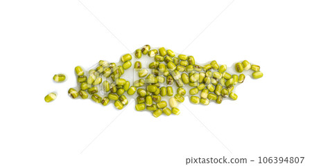 Soaked Mung Beans, Wet Vigna Radiata Seeds Pile, Macro Photo of Green Gram in Water Soaked Mung Beans, Wet Vigna Radiata Seeds Pile, Macro Photo of Green Gram in Water 106394807