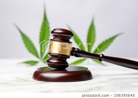 gavel judge with cannabis leaf plant gavel judge with cannabis leaf plant 106395648