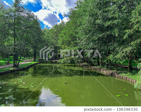 A green pond in Zelenogradsk city park. High quality photo 106396330