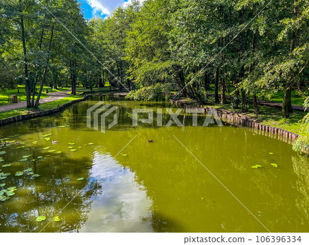 A green pond in Zelenogradsk city park. High quality photo 106396334