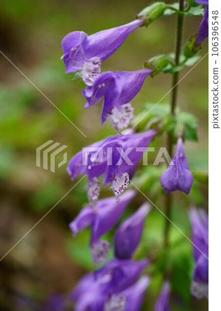 第4936章 106396548