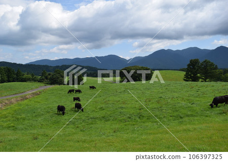 Tsukiyama Kogen Ranch Shonai, Yamagata Prefecture Tsukiyama Kogen Ranch Shonai, Yamagata Prefecture 106397325