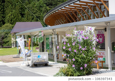 Road Station Oze Katina 106397343