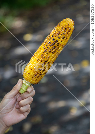 Fragrant roasted corn Fragrant roasted corn 106397530