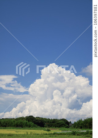 夏季鄉村景觀:積雨雲和稻穗 夏季鄉村景觀:積雨雲和稻穗 106397881