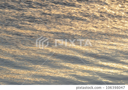 The surface of the lake sparkling in the morning sun 106398047