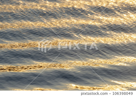 The surface of the lake sparkling in the morning sun The surface of the lake sparkling in the morning sun 106398049