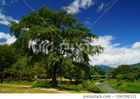 夏天的開始 106398331