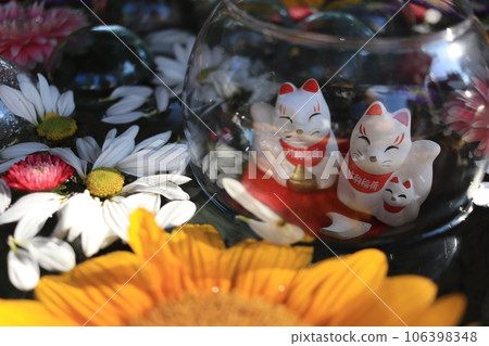 竹駒神社花水中漂浮的狐狸 竹駒神社花水中漂浮的狐狸 106398348