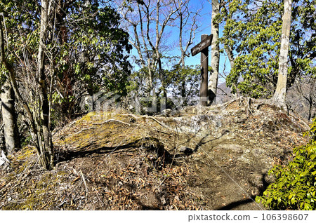 丹澤的茅野木 田澤之鹿間山頂森林之巔 丹澤的茅野木 田澤之鹿間山頂森林之巔 106398607