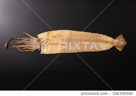 烤魷魚軟冰淇淋(函館產) 烤魷魚軟冰淇淋(函館產) 106398980