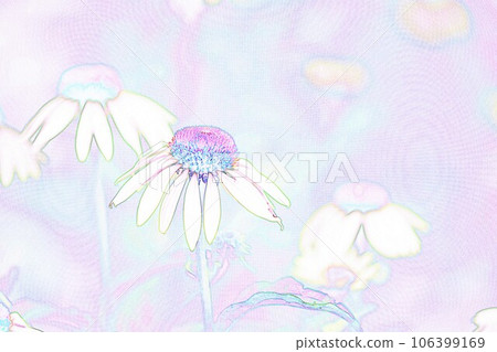 Pastel style “Echinacea” illustration image 106399169