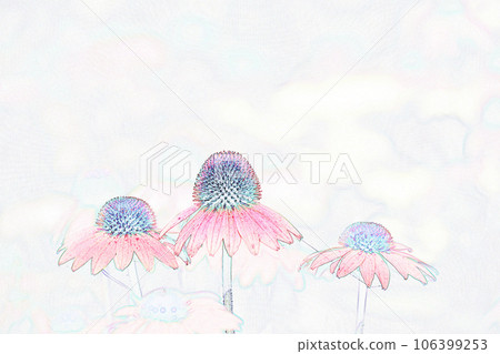 Pastel style “Echinacea” illustration image Pastel style “Echinacea” illustration image 106399253