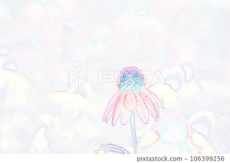 柔和風格“紫錐菊”插圖圖像 106399256