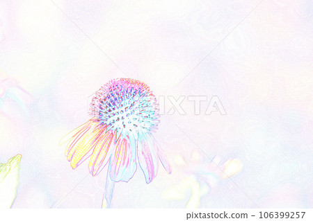 Pastel style “Echinacea” illustration image Pastel style “Echinacea” illustration image 106399257