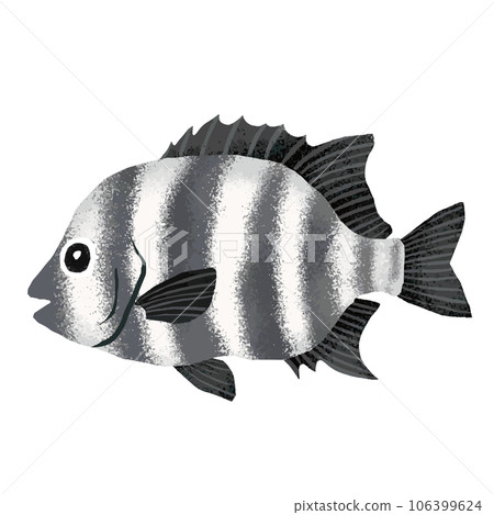 Watercolor illustration of parrotfish 106399624