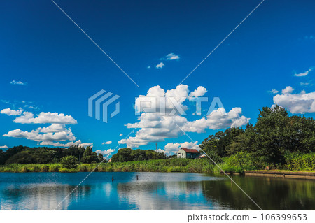 夏天天空在池塘 106399653