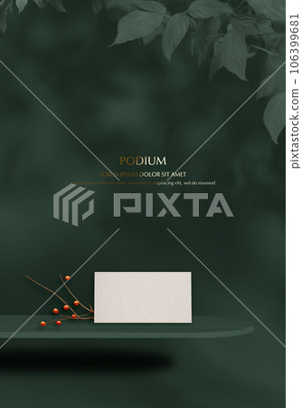 Autumn 3D podium with shadow overlay effect for product presentation.3D rendering. 106399681