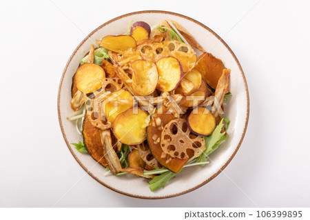 Fried root vegetable salad (sweet potato, lotus root, burdock, pumpkin) 106399895