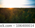 Above aerial shot of green pine forests and yellow foliage groves with beautiful texture of golden treetops. Beautiful fall season scenery in evening. Mountains in autumn colors in golden time 106400014