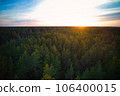 Above aerial shot of green pine forests and yellow foliage groves with beautiful texture of golden treetops. Beautiful fall season scenery in evening. Mountains in autumn colors in golden time 106400015