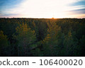 Above aerial shot of green pine forests and yellow foliage groves with beautiful texture of golden treetops. Beautiful fall season scenery in evening. Mountains in autumn colors in golden time 106400020