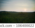 Above aerial shot of green pine forests and yellow foliage groves with beautiful texture of golden treetops. Beautiful fall season scenery in evening. Mountains in autumn colors in golden time 106400022