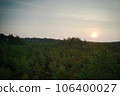 Above aerial shot of green pine forests and yellow foliage groves with beautiful texture of golden treetops. Beautiful fall season scenery in evening. Mountains in autumn colors in golden time 106400027