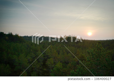 Above aerial shot of green pine forests and yellow foliage groves with beautiful texture of golden treetops. Beautiful fall season scenery in evening. Mountains in autumn colors in golden time Above aerial shot of green pine forests and yellow foliage groves with beautiful texture of golden treetops. Beautiful fall season scenery in evening. Mountains in autumn colors in golden time 106400027