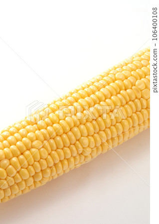 玉米 106400108