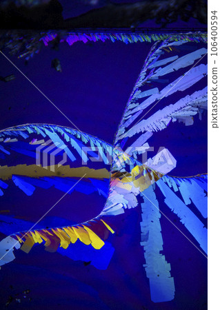 檸檬酸 檸檬酸 106400594