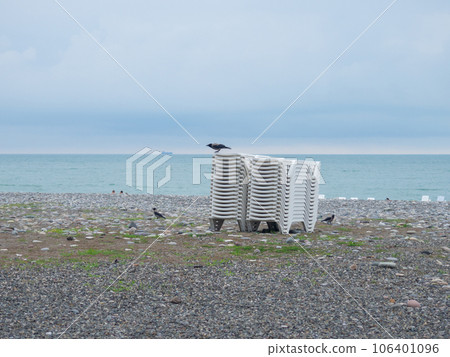 Raven sits on beach chairs. Birds on the beach. Out of season. Evening at the resort. Raven sits on beach chairs. Birds on the beach. Out of season. Evening at the resort. 106401096
