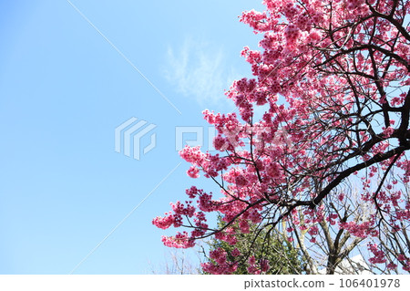 E原神社 E原神社 106401978