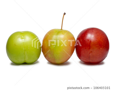 Plums for tkemali sauce. Several cherry plum fruits of varying degrees of ripeness. Plum variety. Juicy fruit. Healthy diet. 106403101