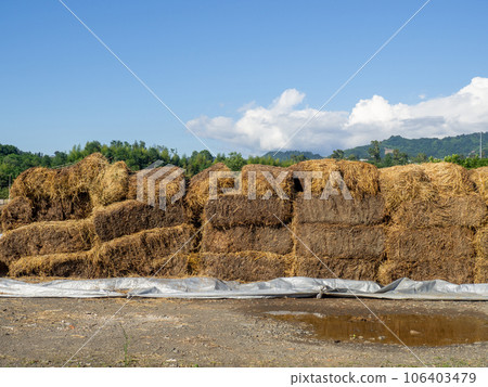 Sale of feed for livestock. Hay blocks. Lots of hay. Horse feed warehouse. Sale of feed for livestock. Hay blocks. Lots of hay. Horse feed warehouse. 106403479