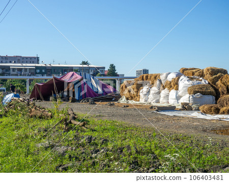 Sale of feed for livestock. Hay blocks. Lots of hay. Horse feed warehouse 106403481