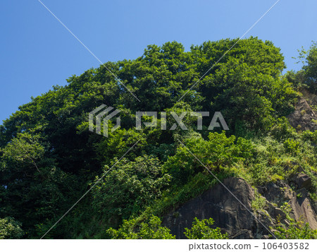 Rocky hill covered with forest. Natural landscape. Beautiful cliff. 106403582