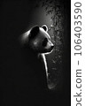 big panda studio silhouette photo black white vintage backlit portrait china contour tattoo 106403590
